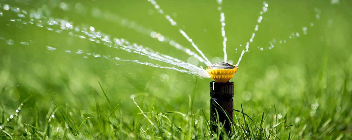 Yard Sprinkler