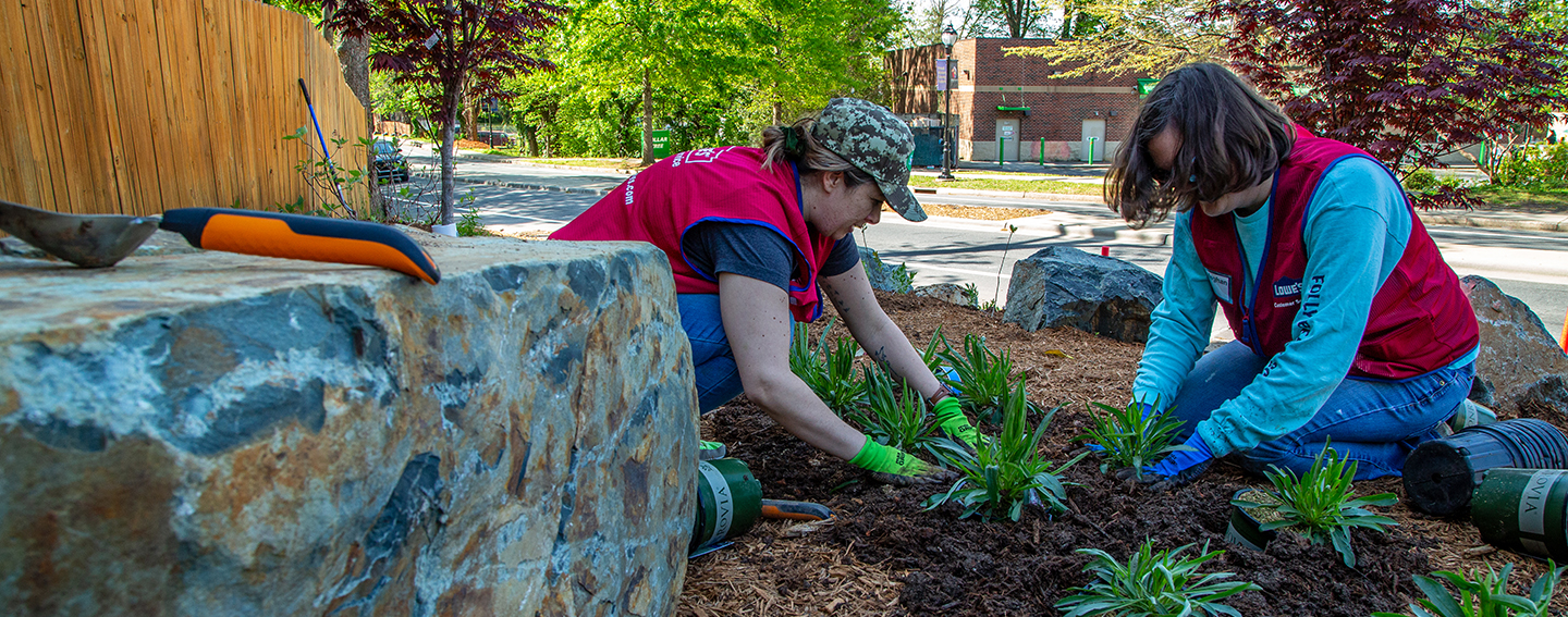 Lowe's associates planting plants