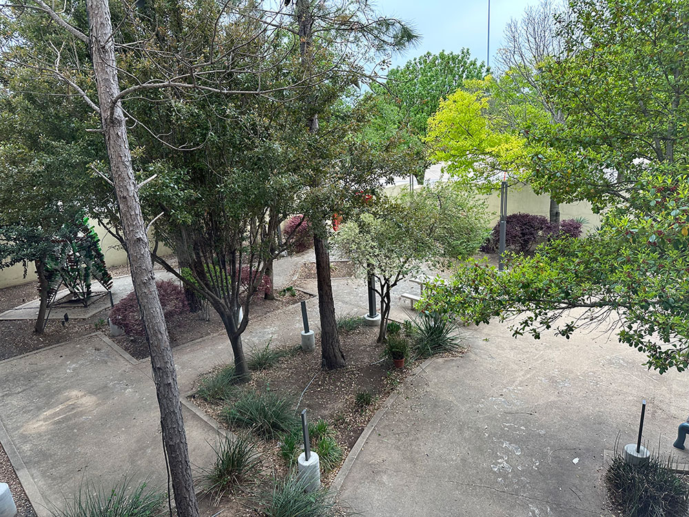 African American Museum of Dallas