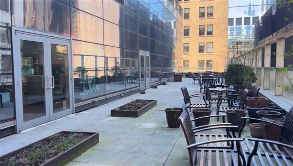 American Cancer Society