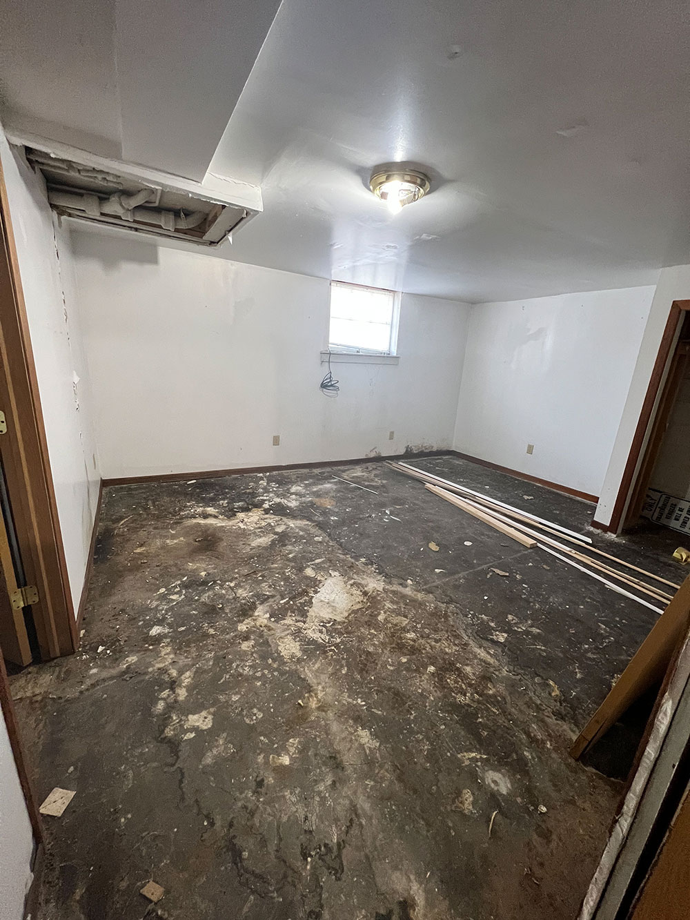 Humility Homes and Services