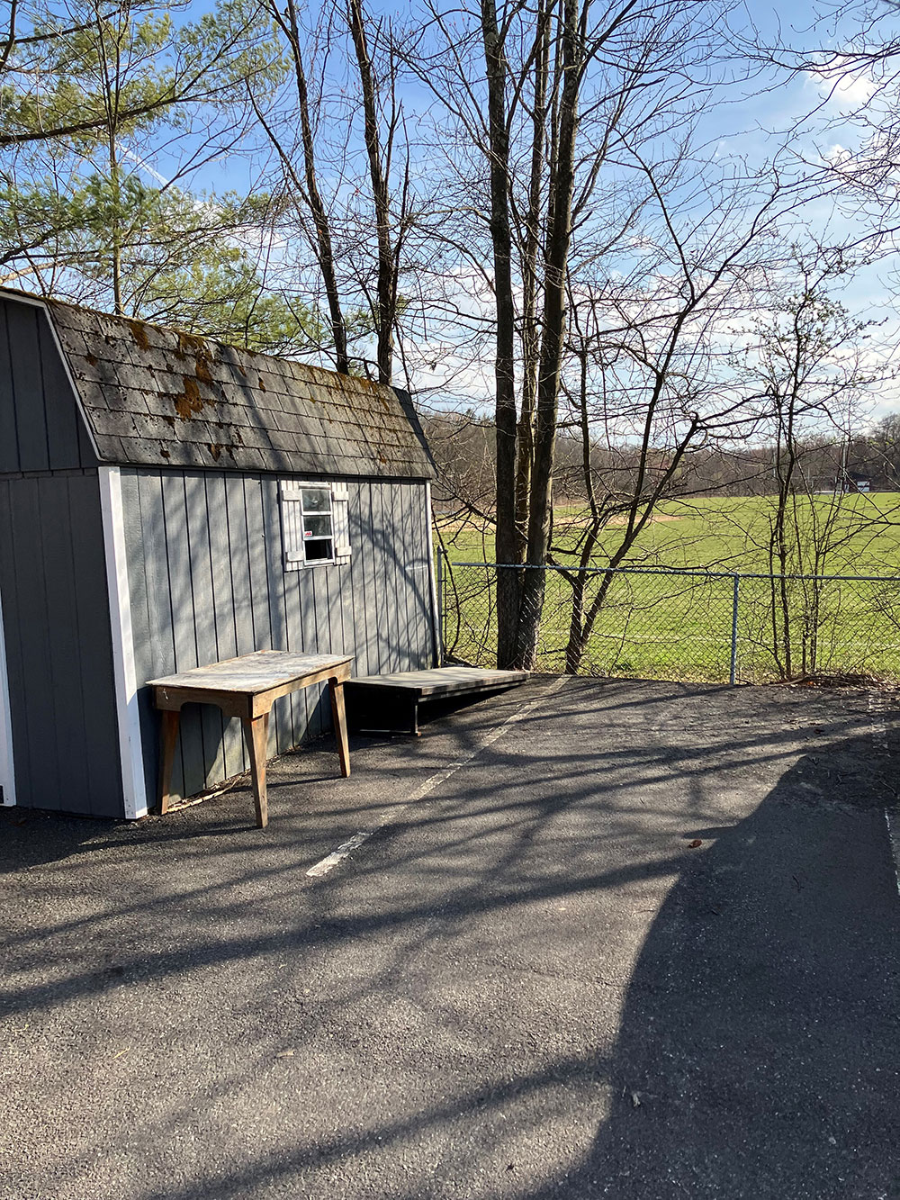 New Paltz Youth Program