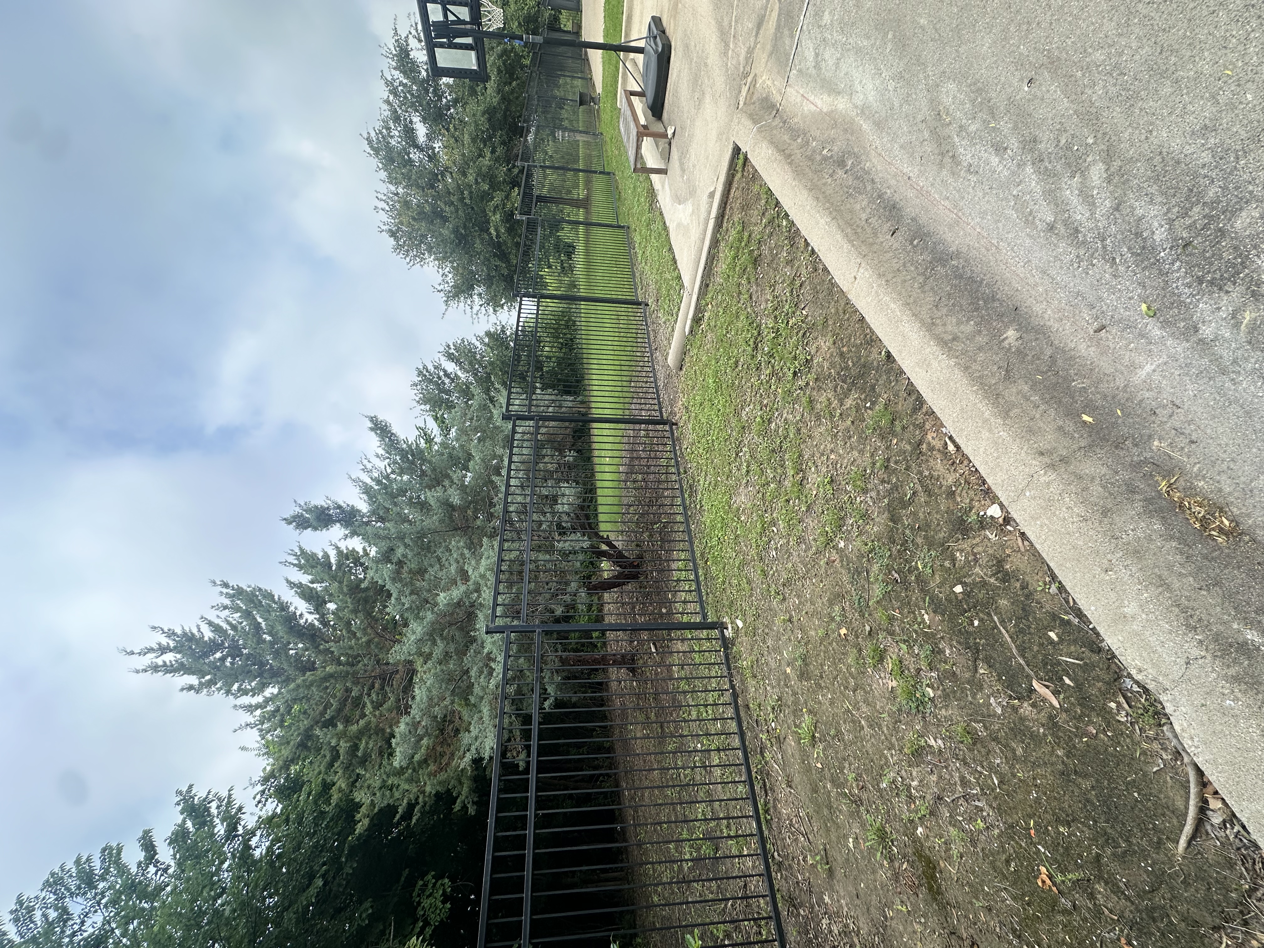 Gladney Center for Adoption