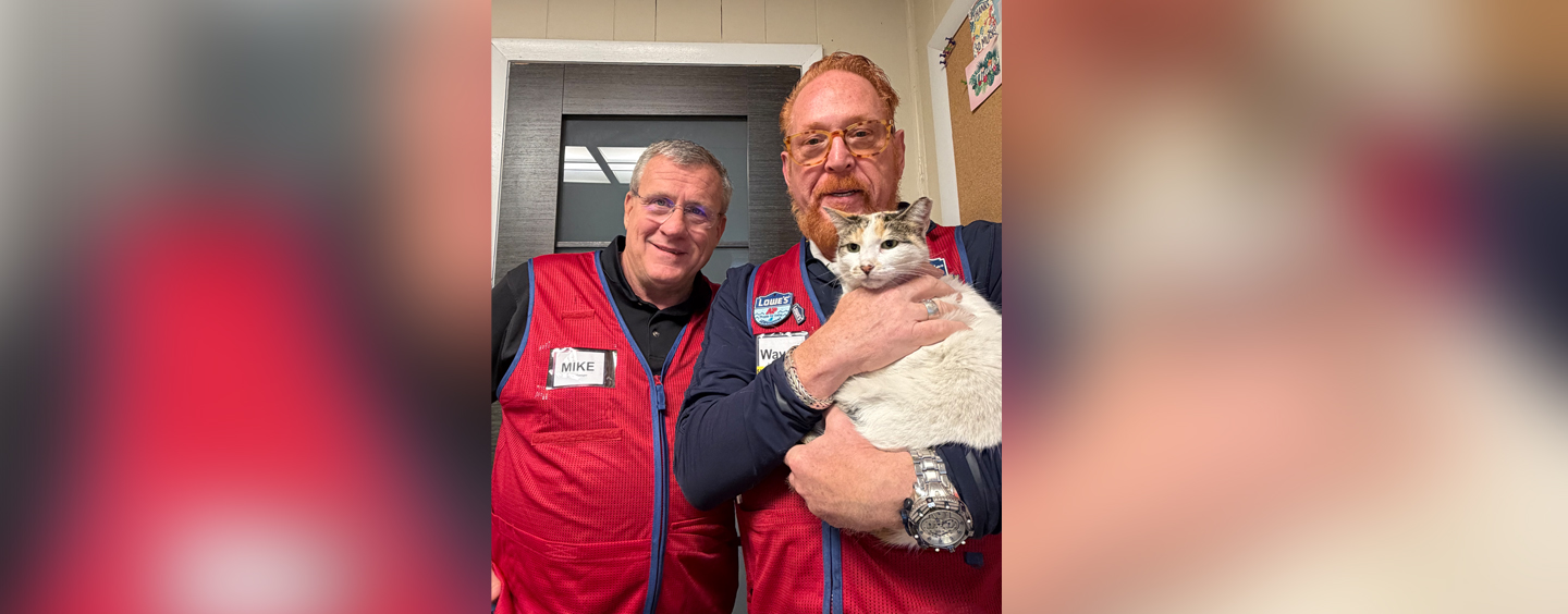 Francine the Lowe's cat