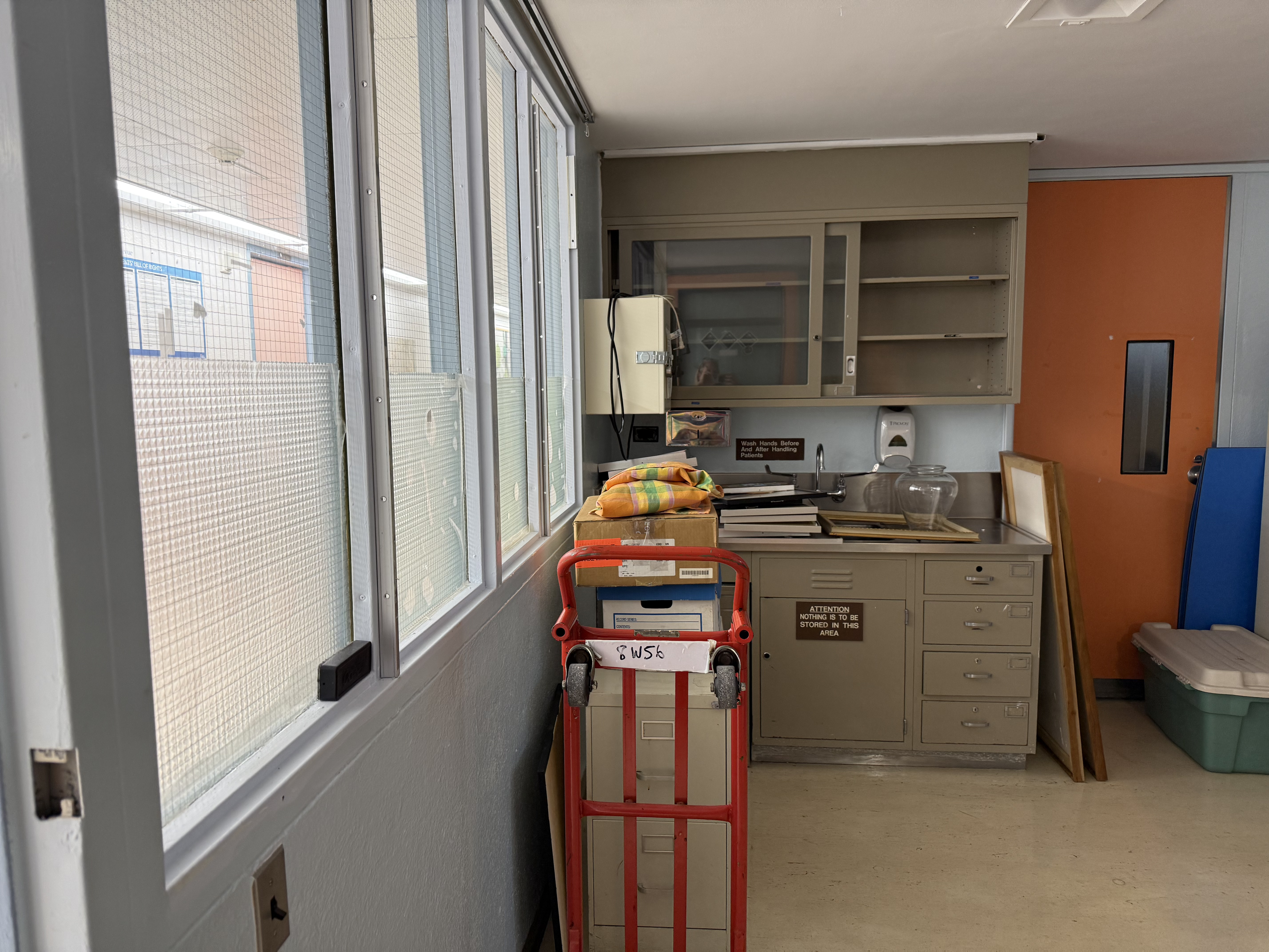 Children of Bellevue