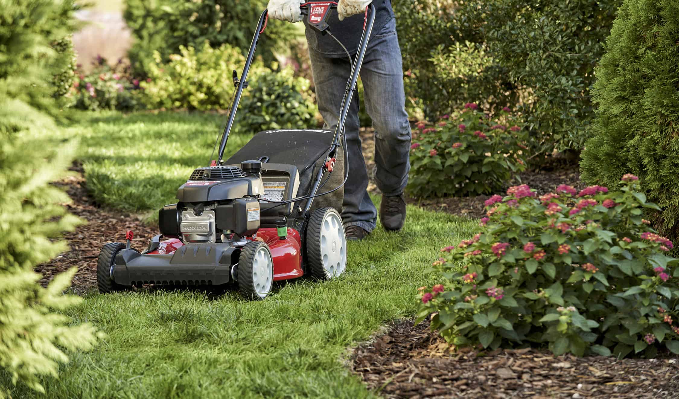 Tired of mowing? Try alternative landscaping that saves time and water