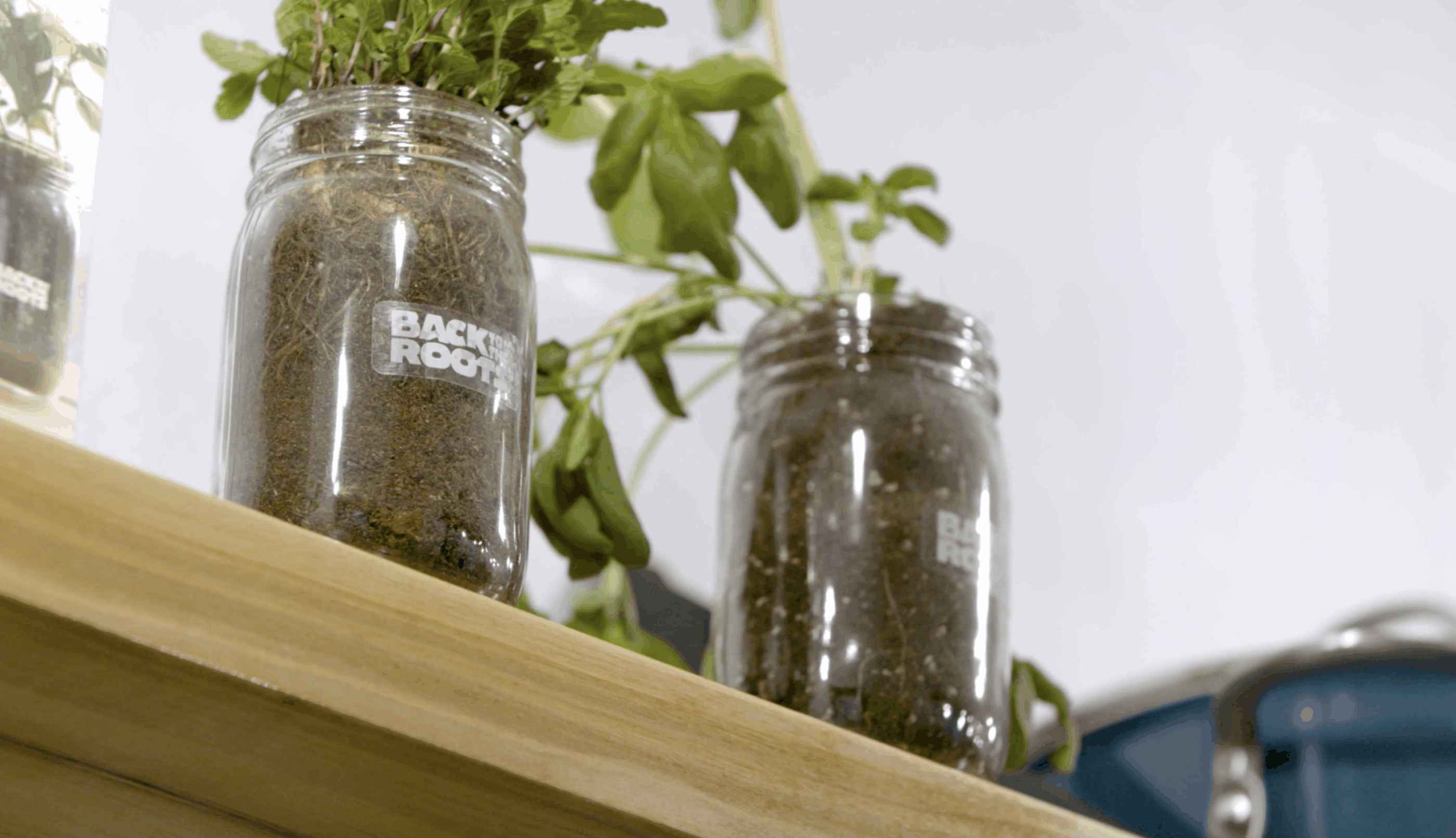 Screen-Shot-2019-03-12