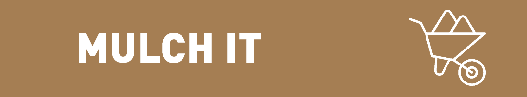 Cut up your tree and place it in your yard