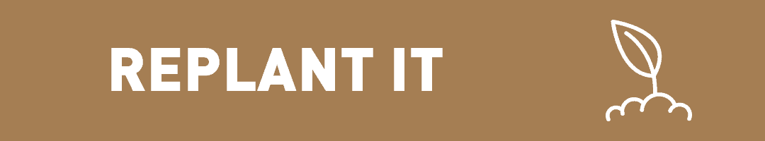 Cut up your tree into pieces and sink it in a pond