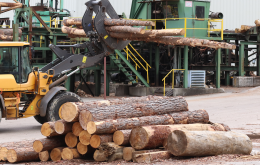 Sustainable Partnerships: Lowe's and CM Tucker Lumber Leading the Way in Environmental Stewardship